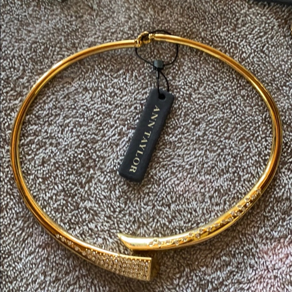 Elegant Choker